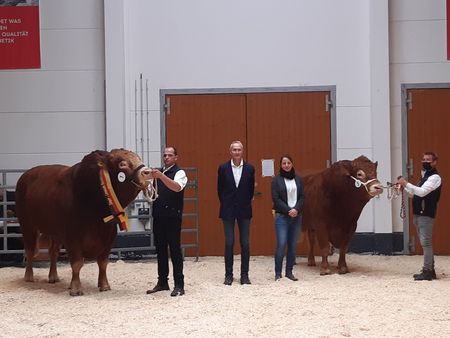 Sieger Gustel der Pfeifer GbR und Reservesieger Kevin von St. Kohlmann