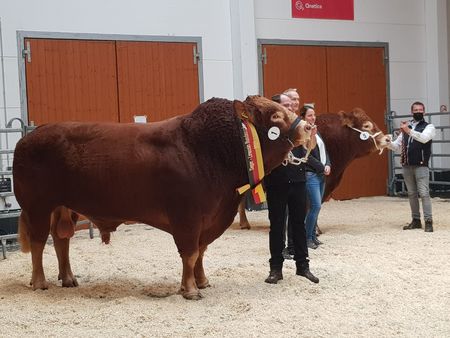 Sieger Gustel der Pfeifer GbR und Reservesieger Kevin von St. Kohlmann