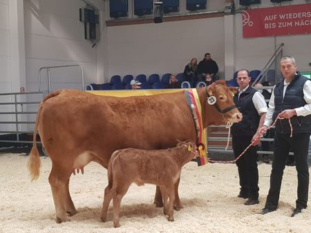 Sieger Kuh mit Kalb Pfeifer GbR, Breidenbach