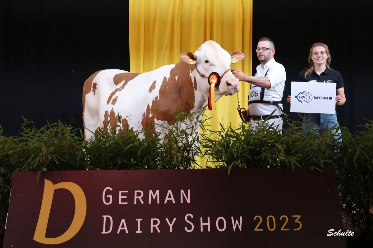 German Dairy Show 2023 mit den Ergebnissen
